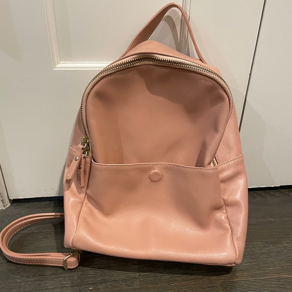 AE Italian Leather Backpack purse in dusty rose